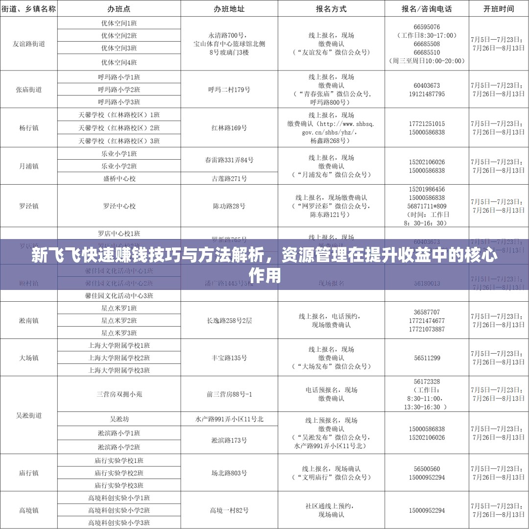 新飞飞快速赚钱技巧与方法解析，资源管理在提升收益中的核心作用