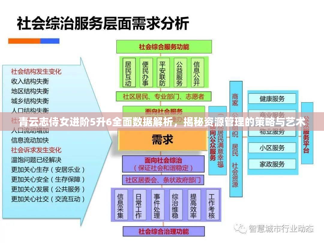 青云志侍女进阶5升6全面数据解析，揭秘资源管理的策略与艺术