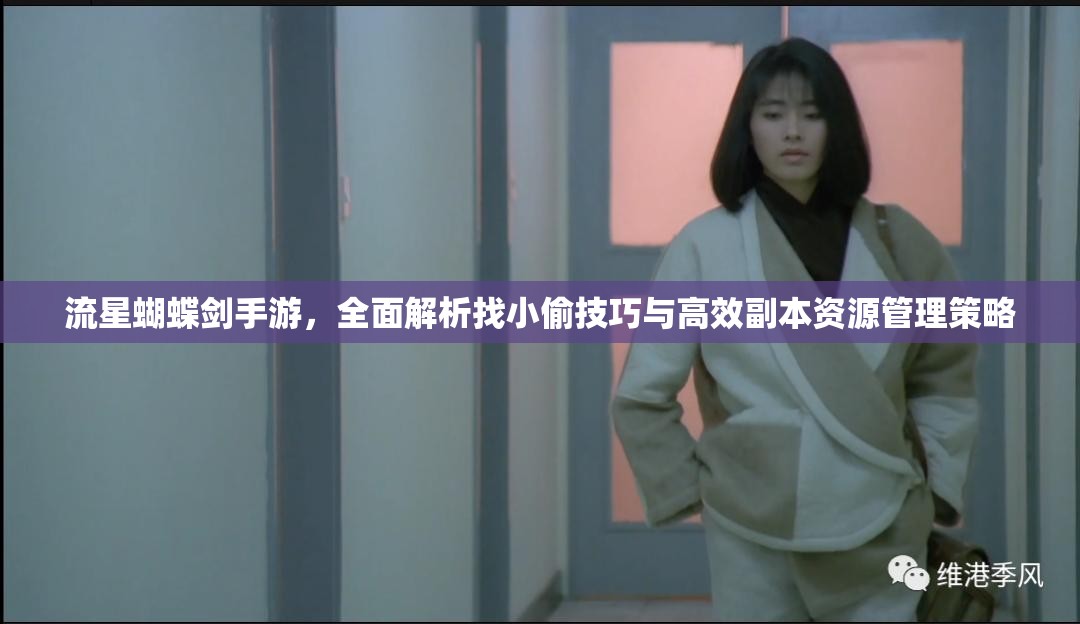流星蝴蝶剑手游，全面解析找小偷技巧与高效副本资源管理策略