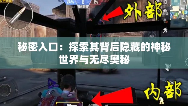 秘密入口：探索其背后隐藏的神秘世界与无尽奥秘