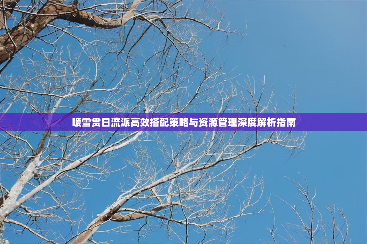 暖雪贯日流派高效搭配策略与资源管理深度解析指南
