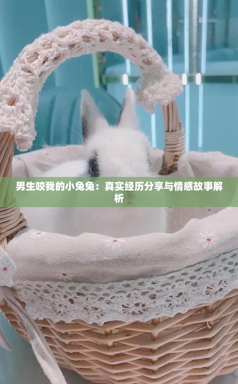 男生咬我的小兔兔：真实经历分享与情感故事解析