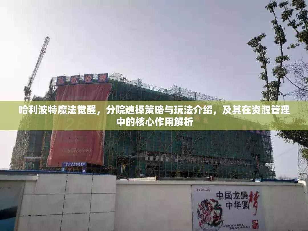 哈利波特魔法觉醒，分院选择策略与玩法介绍，及其在资源管理中的核心作用解析