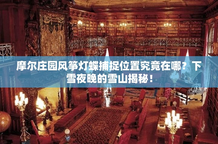 摩尔庄园风筝灯蝶捕捉位置究竟在哪？下雪夜晚的雪山揭秘！